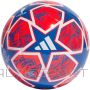 Adidas Футбольный клуб UCL IN9327 (3)