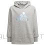Adidas Худи GM Jr.H57219 (164 см)