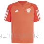 Adidas FC Bayern Training JSY Jr T-krekls IQ0613 (128 cm)