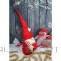Saska Garden SANTA WITH A GIFT 50CM