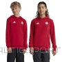 Adidas FC Bayern HD Junior Jr Sweatshirt IT4134 / red / 176 cm