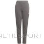 Adidas TIRO 21 Sweat Pant Junior GP8809 / gray / 152 cm