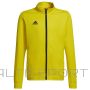 Adidas Entrada 22 celiņa jaka y hi2139 / Dzeltena / 152 cm