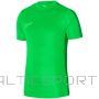 Nike T-krekls DF Academy 23 SS M DR1336 329 (L)