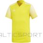 Adidas T-krekls Regista 20 Jersey Jr FI4568 (128cm)