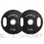 HMS TOG05 GUMIJAS OLIMPISKĀ PLĀKSNE 2 x 5 KG