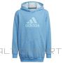 Adidas Badge of Sport Hoodie Jr HN8470 (152 cm)