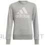 Sweatshirt adidas Big Logo Swt Jr HM8706 (140 cm)