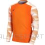Goalkeeper jersey Nike Dry Park IV JSY LS JR CJ6072-819 (XS)