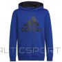 Sweatshirt adidas Big Logo Essentials Hoody Jr HN1912 (128 cm)