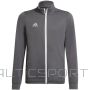 Sweatshirt adidas Junior Entrada 22 Track Jr H57521 (116)