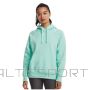 Under Armour Under Armor Rival Fleece Hoodie W 1379500-361 (s)
