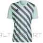 T-krekls Adidas Entrada 22 GFX JSY HF0119 / Zila / XL