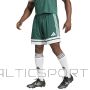 Spodenki adidas SQUADRA 25 JH3411 / zielony / L