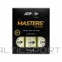 Tennis balls DUNLOP ATP TOUR MASTERS 3x4PET