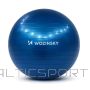 BS Wozinsky WGB65BL Exercise Ball, 65 cm, Blue (Jasnoniebieski)