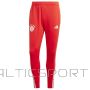 Adidas Тренировочные трусы FC Bayern M IQ0605 (L)