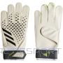 Goalkeeper gloves adidas Predator Training M IA0874 (10,5)