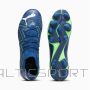 Puma Future Match FG/AG M 107370-03 shoes (40 1/2)