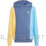 Adidas Cb Ft Hd Jr sweatshirt IS2689 (152cm)