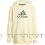 Adidas Badge of Sport Hoodie Jr HN8469 (164 cm)
