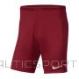 Nike Shorts Park III Knit Jr BV6865-677 (152 cm)