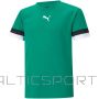 Puma Rise Jersey Jr. 704938 05 (140)