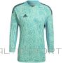 Adidas Condivo 22 Long Sleeve M goalkeeper shirt HB1613 (XL)