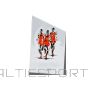 Tryumf Triumfa stikla trofeja / 14 cm /