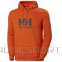 Helly Hansen Logo Hoodie M 33977-300 (M)