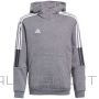 Adidas Tiro 21 Sweat Hoody Jr GP8803 (116cm)