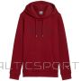 Puma Ess+ Logo LAB Hoodie FL W 682987 13 (M)
