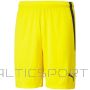 Puma team shortsLIGA M 704924 07 (M)