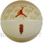 Jordan All Court Zion Ball J1004141720 (7)