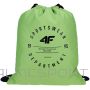 Shoe bag 4F M055 4FJWAW23AGYMM055 41S (N/A)
