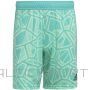 Adidas Condivo 22 M HB1624 goalkeeper shorts (2XL)