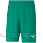 Puma teamRISE Short M 704942 05 (M)