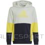 Adidas Colourblock Hoodie Jr HN8567 sporta krekls (140 cm)