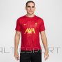 Nike Liverpool FC Academy Pro SStop M T-krekls FN9653-688 (L)
