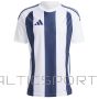 Koszulka adidas STRIPED 24 JSY IW4554 / biały / S