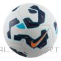 Nike Шар Pitch FZ2636-100 (4)
