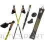 Enero Newicon Nordic Walking Poles with Cover