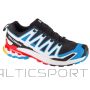 Salomon XA Pro 3D v9 GTX M 477163 shoes (44 2/3)