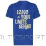 T-shirt adidas Hiit Slog Tee Jr HG2051 (176 cm)