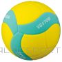 Volleyball Mikasa VS170W With Kids (5)