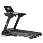 Treadmill BH FITNESS RS900TFT
