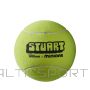 WILSON MINIONS 9 JUMBO ball