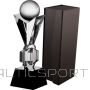 BS Стеклянный трофей с футляром (-)