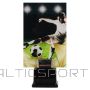 Tryumf Triumfa plastmasas trofeja / 17 cm /