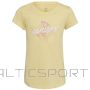 Adidas T-krekls 3 BAR G Tee Jr HL1619 (140 cm)